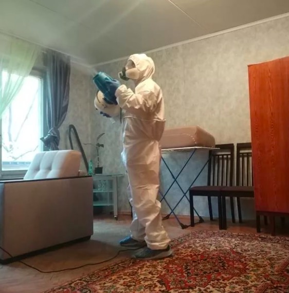дезинсекция квартиры в Зиме