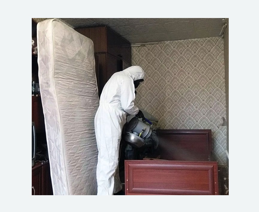 дезинфекция от клопов дезинфекция от клопов в Зиме