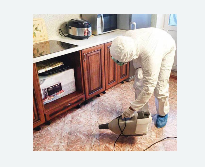 обработка квартиры от клопов в Зиме обработка квартиры от клопов